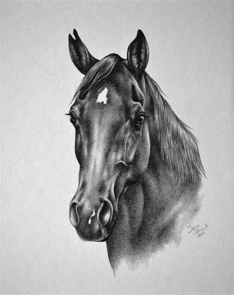 Realistic and life like pencil drawings of horses and dogs from your ...