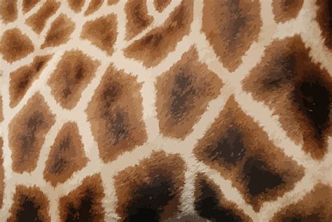 Clipart - Giraffe fur