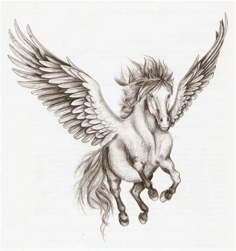 Pegasus Drawing at GetDrawings | Free download