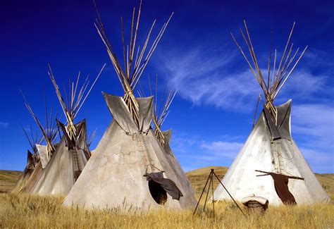 Lakota tipi | Native american culture, Native american tribes, Native ...