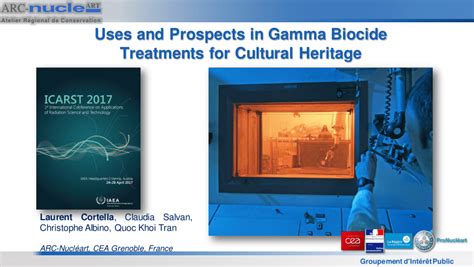 (PDF) Uses and Prospects in Gamma Biocide Treatment of Cultural Heritage