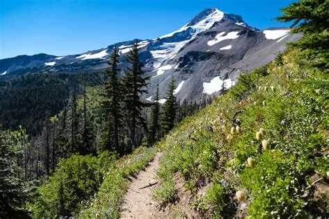 Mt. Hood National Forest: 6 Amazing Hikes For Autumn