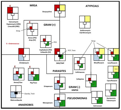 Antibiotic Coverage Sheet