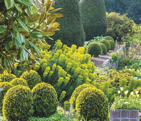 Building on history: The gardens at Benington Lordship, Stevenage ...