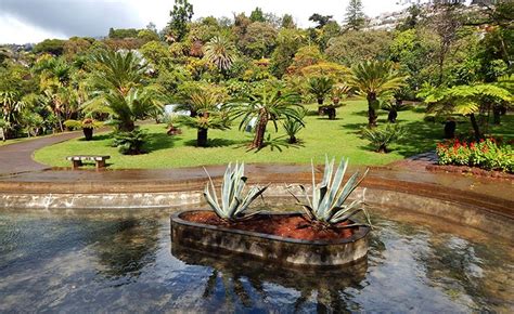 Botanical garden in Funchal - KASADOO