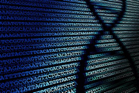 Explainer: what is the Human Genome Project? – Queensland Genomics