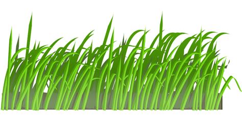 Download Grass, Lawn, Green. Royalty-Free Vector Graphic - Pixabay