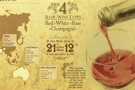 A Guide for Wine Selection (Infographic) on Behance