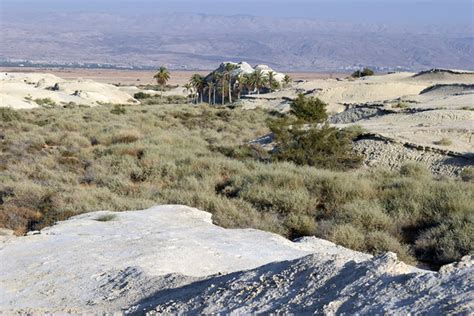 The Biblical Gilgal | Israel’s first encampment in the Land