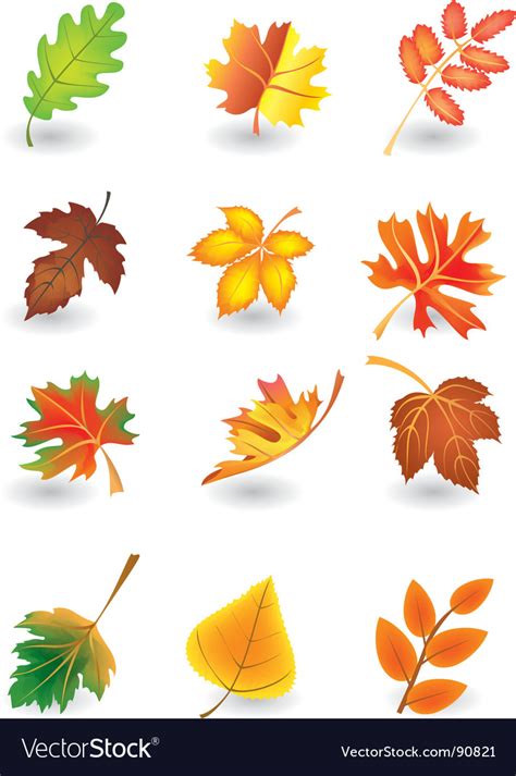 Leaves Royalty Free Vector Image - VectorStock