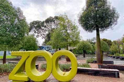 Should You Visit Adelaide Zoo?