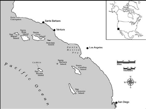 The general location of San Nicolas Island and CA-SNI-14. | Download ...