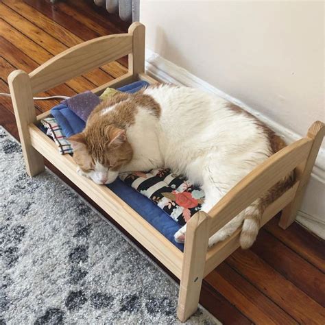 Cat Owners Turn IKEA Toy Furniture into Adorable Pet Beds