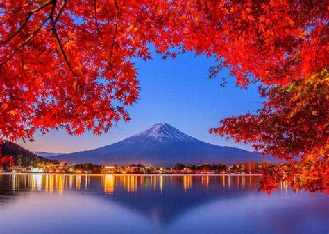 Fall Colors in Japan 2024: Best 8 Spots to See Japanese Maple Leaves ...