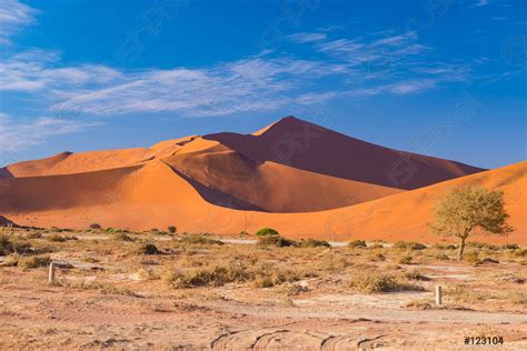 Sand dunes in the Namib desert at dawn, roadtrip in - stock photo ...