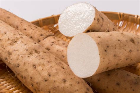 Wild Yam Root Powder – Custom Formulation Supplement Manufacturer ...