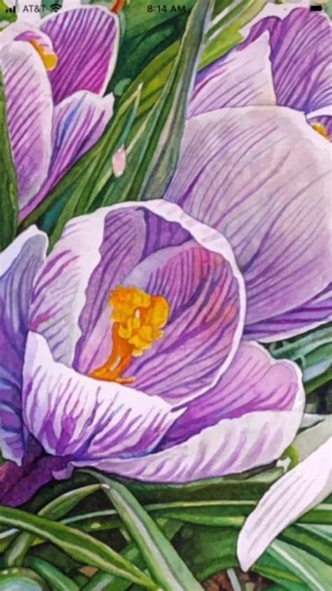 Purple Crocus Original Watercolor Painting by Pierrette | Etsy