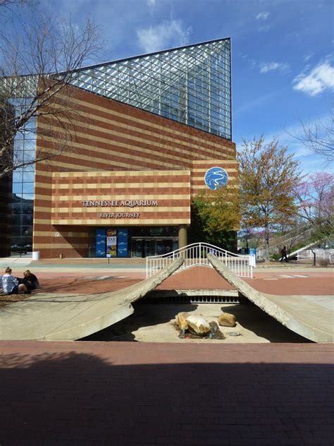 Chattanooga Aquarium And Childrens Museum - Aquarium Views