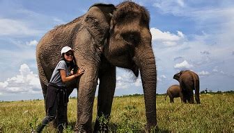 Way Kambas National Park, Sumatran Elephant Conservation and Attraction ...