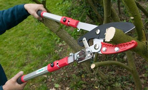 Telescopic Ratchet Garden Tree Branch Anvil Lopper Pruner Bypass Cut ...