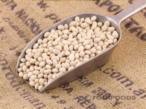 Haricot Beans Navy from Real Foods Buy Bulk Wholesale Online