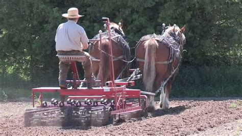 Orchard Hill - Horse-powered Organic Farm Part 2 - Horse Drawn Farming ...