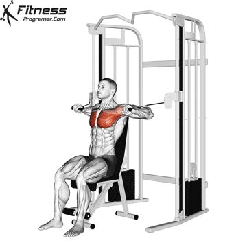 Chest & Triceps » Workout Routine Created By Patrick Hernandez