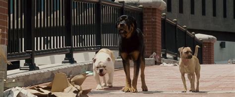 Underdog (2007)