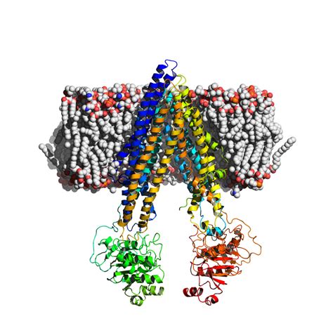 BMC Series blog BMC Pharmacology and Toxicology, a new BMC series journal