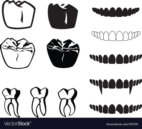 Teeth Royalty Free Vector Image - VectorStock