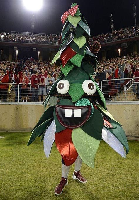 Please enjoy Stanford University's mascot a Tree. : r/marijuanaenthusiasts