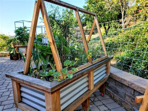 How To Build a Cucumber Trellis for Raised Beds | Kellogg Garden Organics™