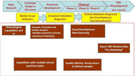 Drug Development Process Flowchart