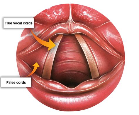 The passaggio explained - part 1: The ins and outs of changing vocal ...