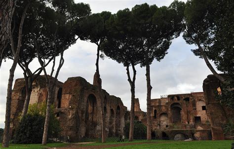 palatino hill | Rome, IT | duluoz cats | Flickr