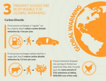 Veganism and the Environment Infographic Shows the Environmental Impact ...