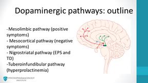 Psychopharmacology Institute