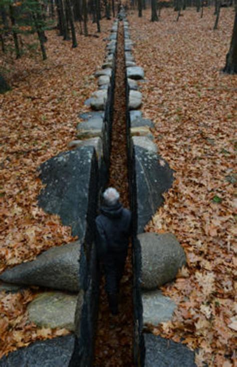 Review: Documentary on landscape artist Andy Goldsworthy, "Leaning Into ...