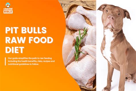 Pit Bull Raw Dog Food Diet & Recipes — Complete Guide - Canine Bible