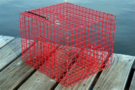 Inshore Pinfish Trap | Pinfish Traps, Live Bait Pens, Crab Traps ...