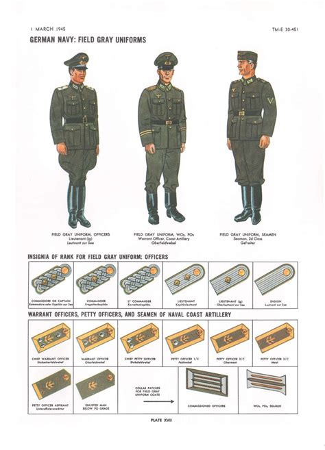 Plate XVII: German Navy: Field Gray Uniforms Military Ranks, Military ...