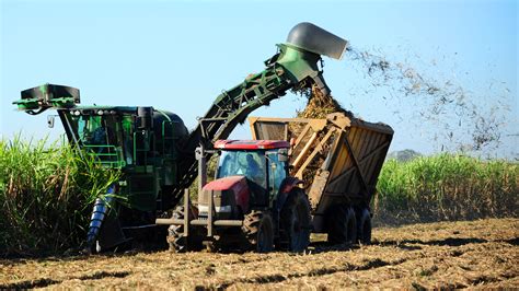 Louisiana’s sugar cane farmers see decent yields in 2015