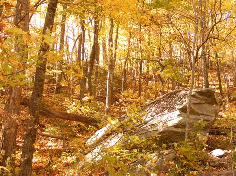 Boone, NC : Fall colors photo, picture, image (North Carolina) at city ...