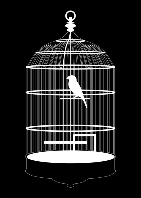 'bird cage' Poster, picture, metal print, paint by Terry LEE | Displate