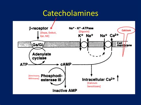 Pedi cardiology: March 2016