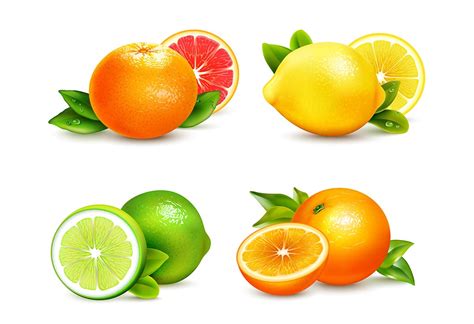 List of Citrus Fruits Names To Teach Preschoolers & Kids