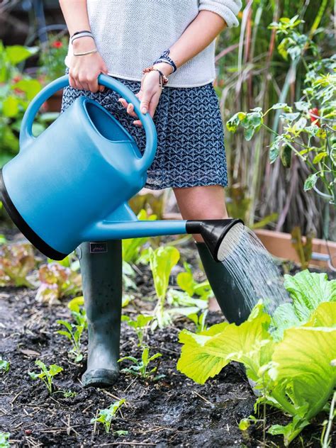 Watering Cans - Plastic 3 Gallon Watering Can | $75+ Orders Ship Free