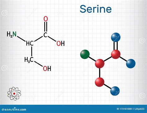 Serine, Ser Amino Acid Molecule. It Is Used In The Biosynthesis Of ...