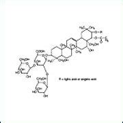 Isoamyl Alcohol - Suppliers, Manufacturers & Traders in India