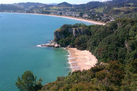 Cooks Beach, Coromandel, NZ | The good place, Beach, Travel bugs